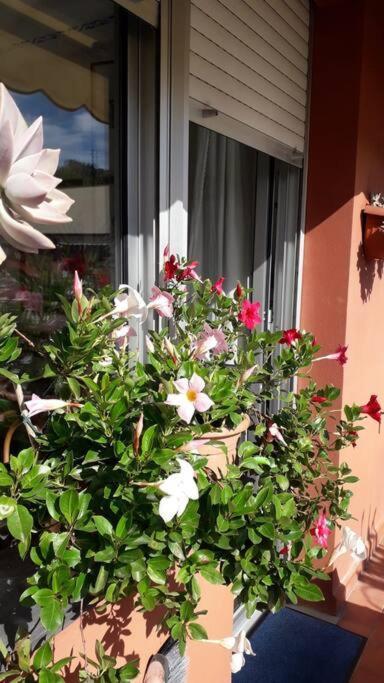 La Casa Di Teri A Chiavari Bagian luar foto