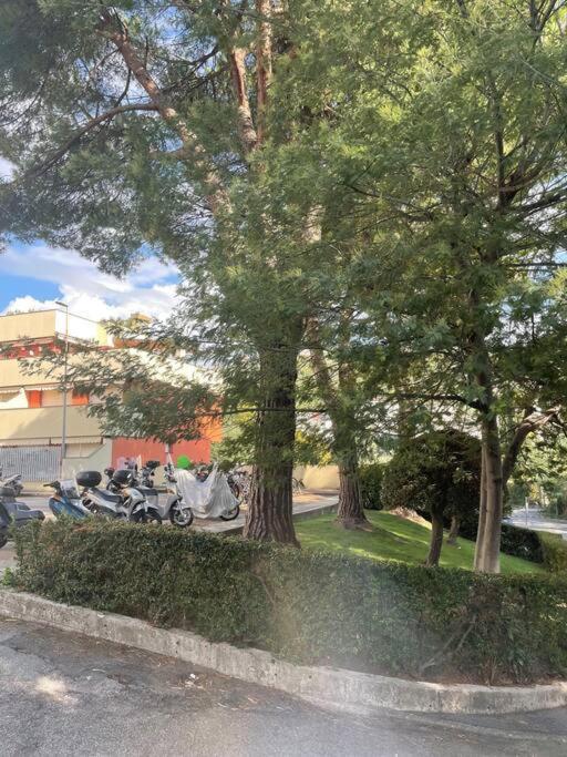 La Casa Di Teri A Chiavari Bagian luar foto