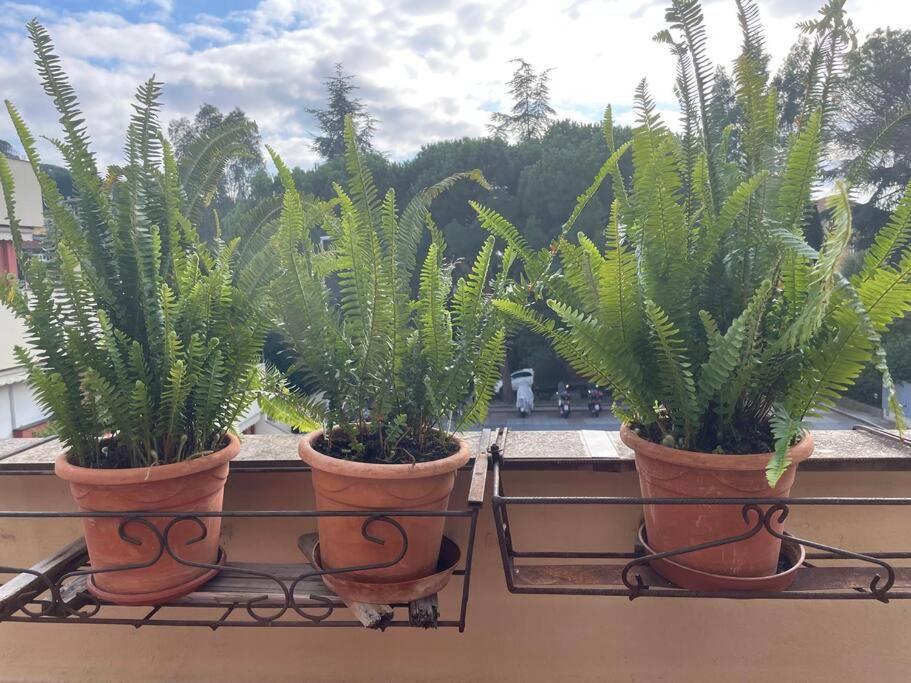 La Casa Di Teri A Chiavari Bagian luar foto