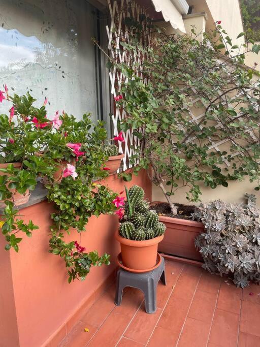 La Casa Di Teri A Chiavari Bagian luar foto